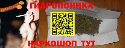 шишки Обнинск