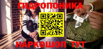 шишки Обнинск