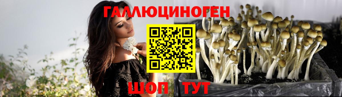 Северобайкальск  Галлюциногенные грибы Psilocybine cubensis  Вход с VPN  Галлюциногенные грибы MAGIC MUSHROOMS 